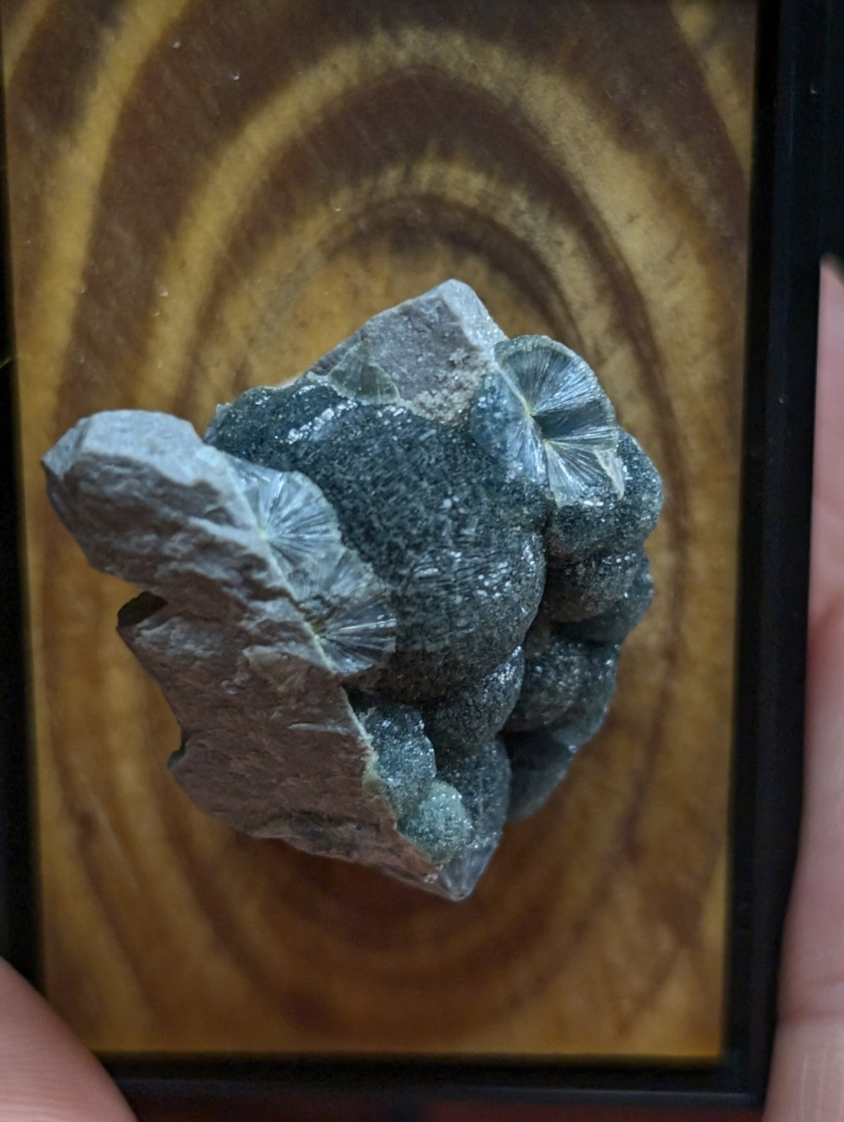 A dark gray, rough-textured mineral specimen with intricate crystalline formations and a slightly glossy surface.