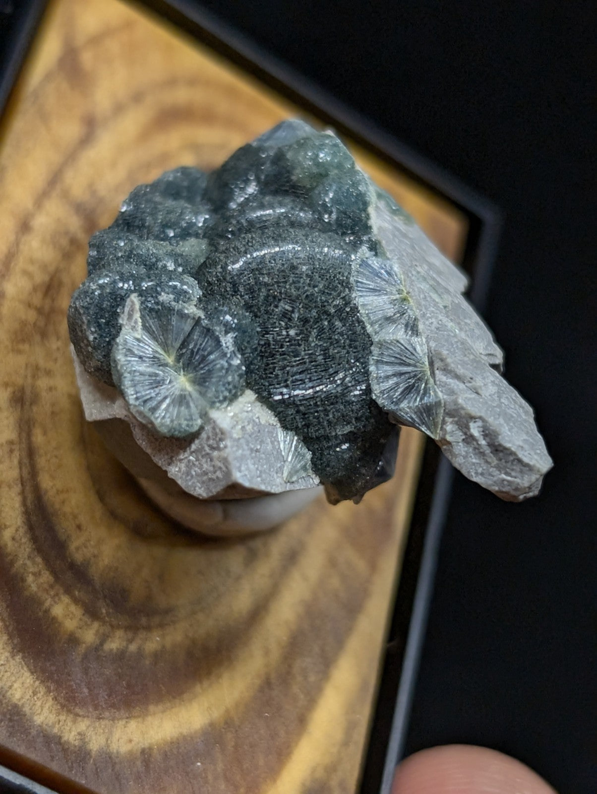 A dark green and translucent mineral specimen with radiating, fan-like crystal formations.