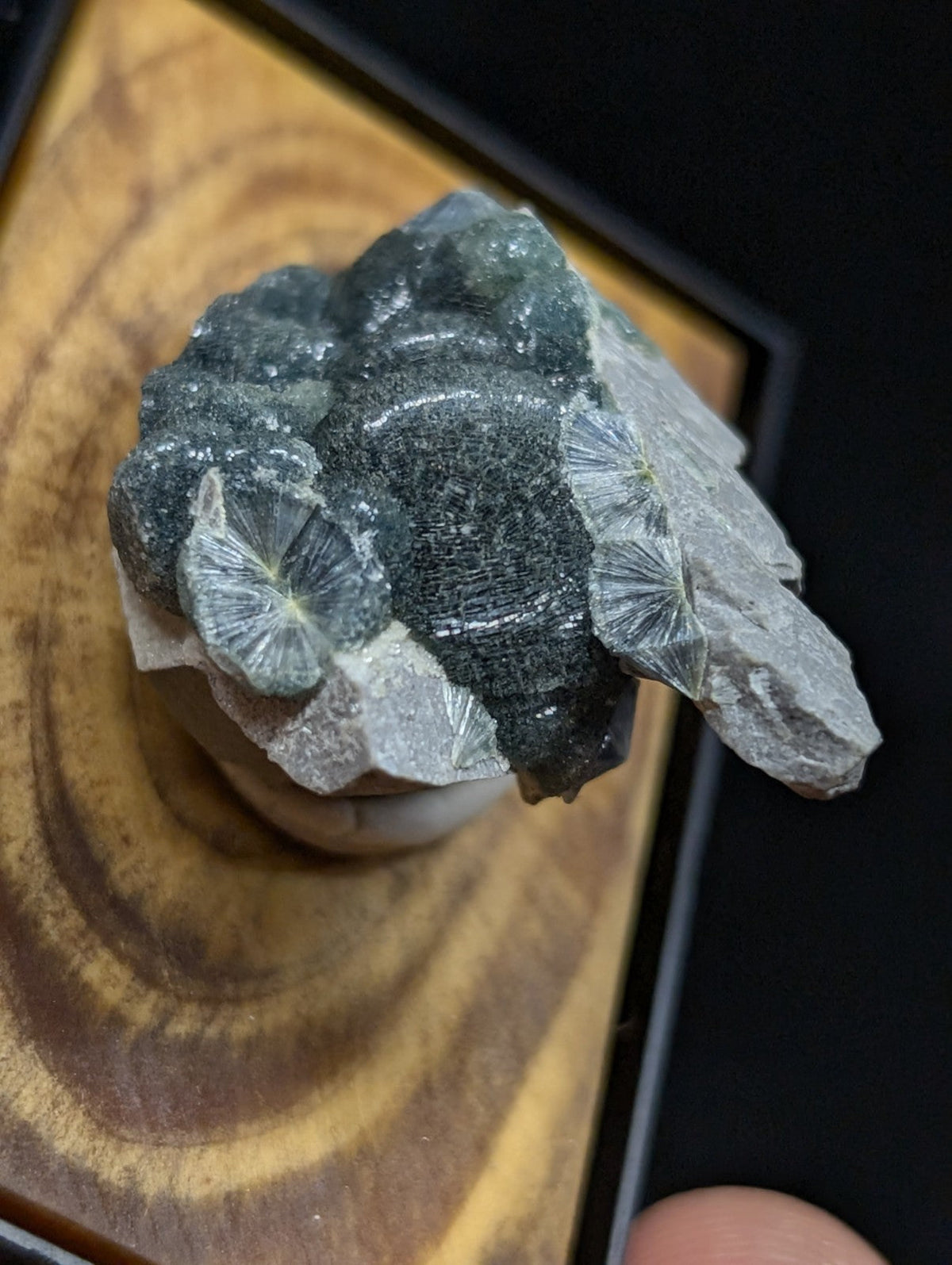 A dark green and translucent mineral specimen with radiating, fan-like crystal formations.
