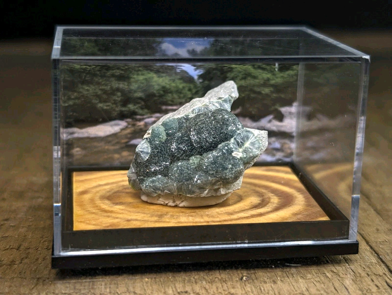 A green and white mineral specimen displayed in a clear acrylic display case.