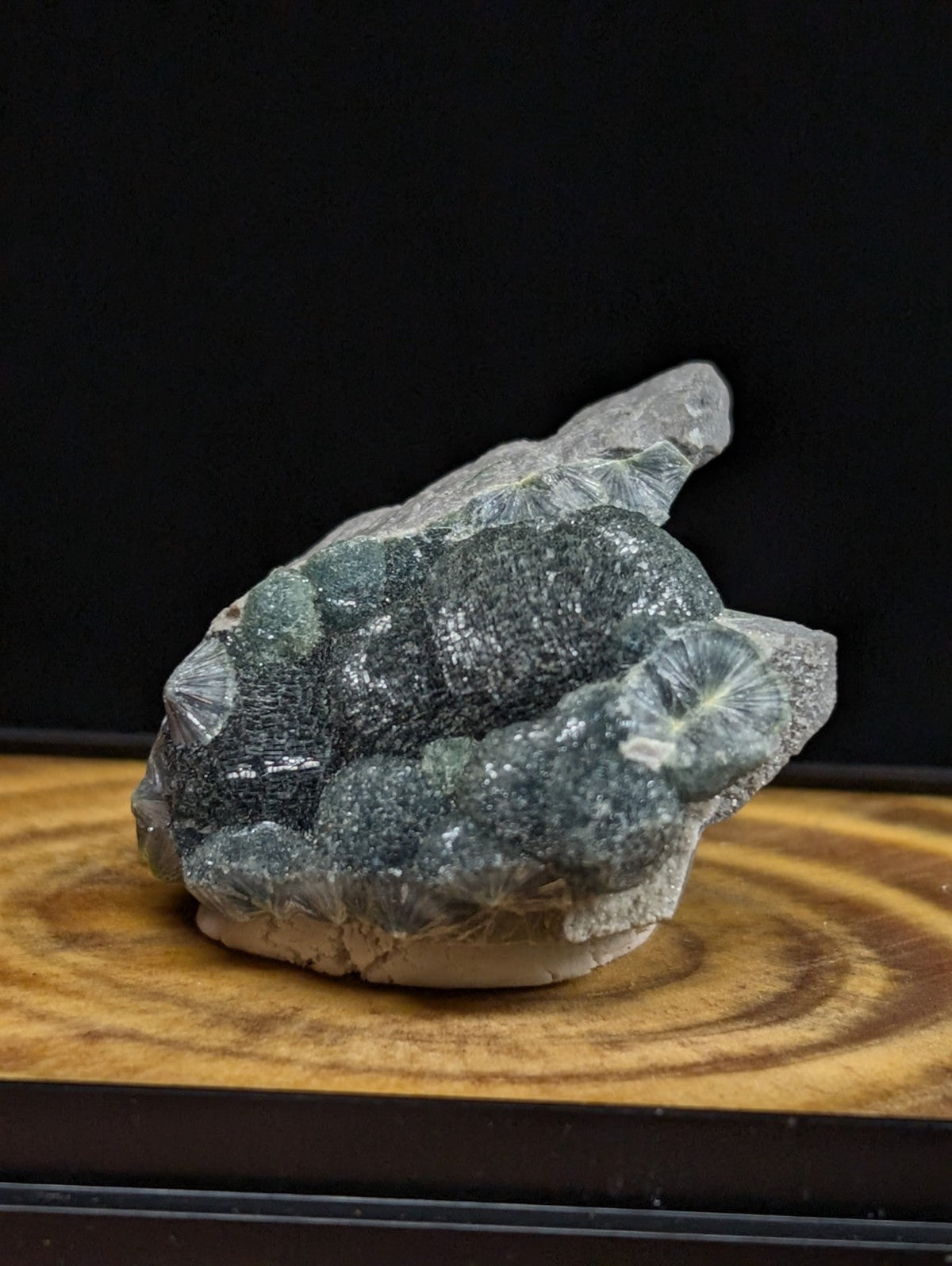 A striking green and gray fossilized shell cluster with intricate, radiating patterns.