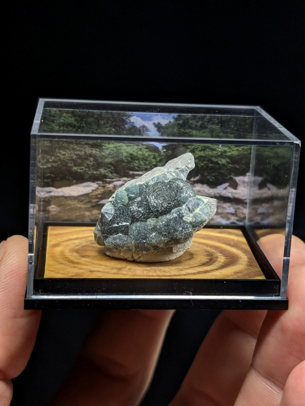 A textured, greenish-gray mineral specimen with a rough, irregular surface sits inside a clear acrylic display case.