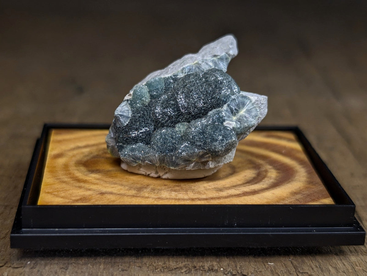 A striking dark gray mineral specimen with translucent, crystalline formations rests elegantly on a wooden display base.