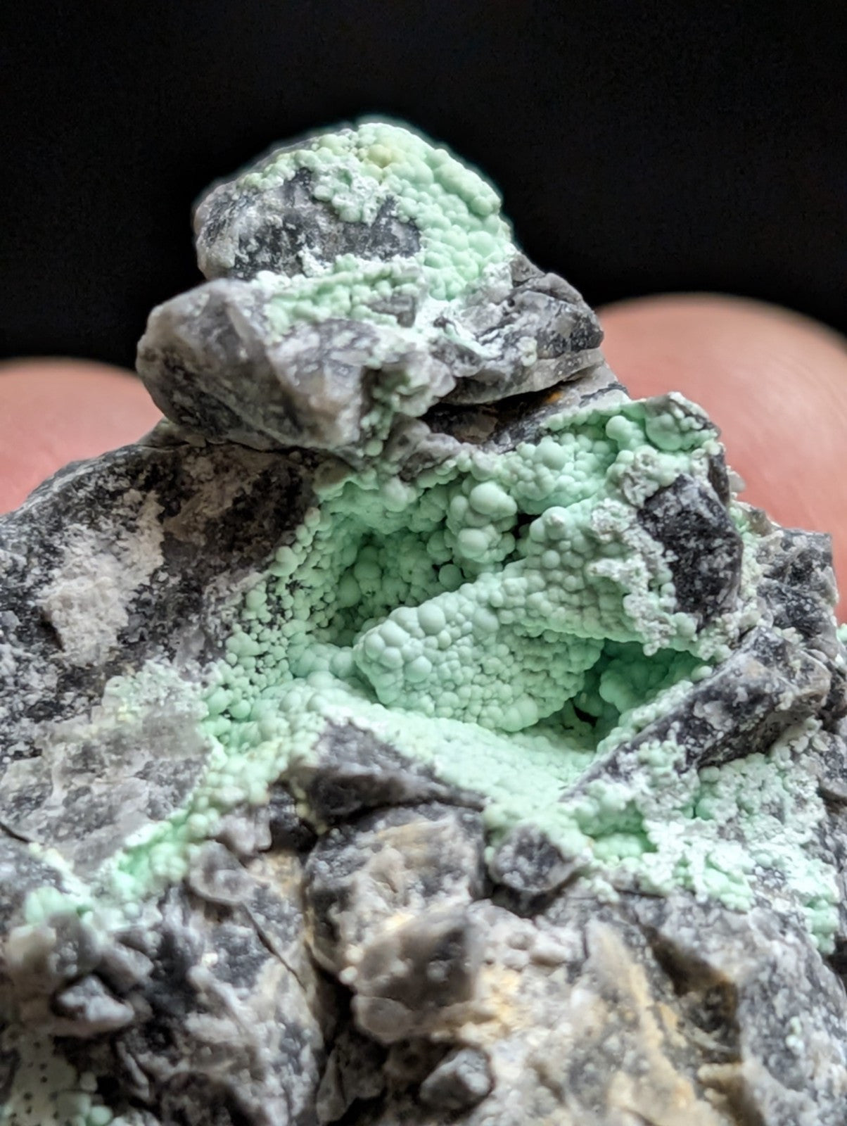 A striking green mineral specimen with a textured, bumpy surface growing over dark gray rock.