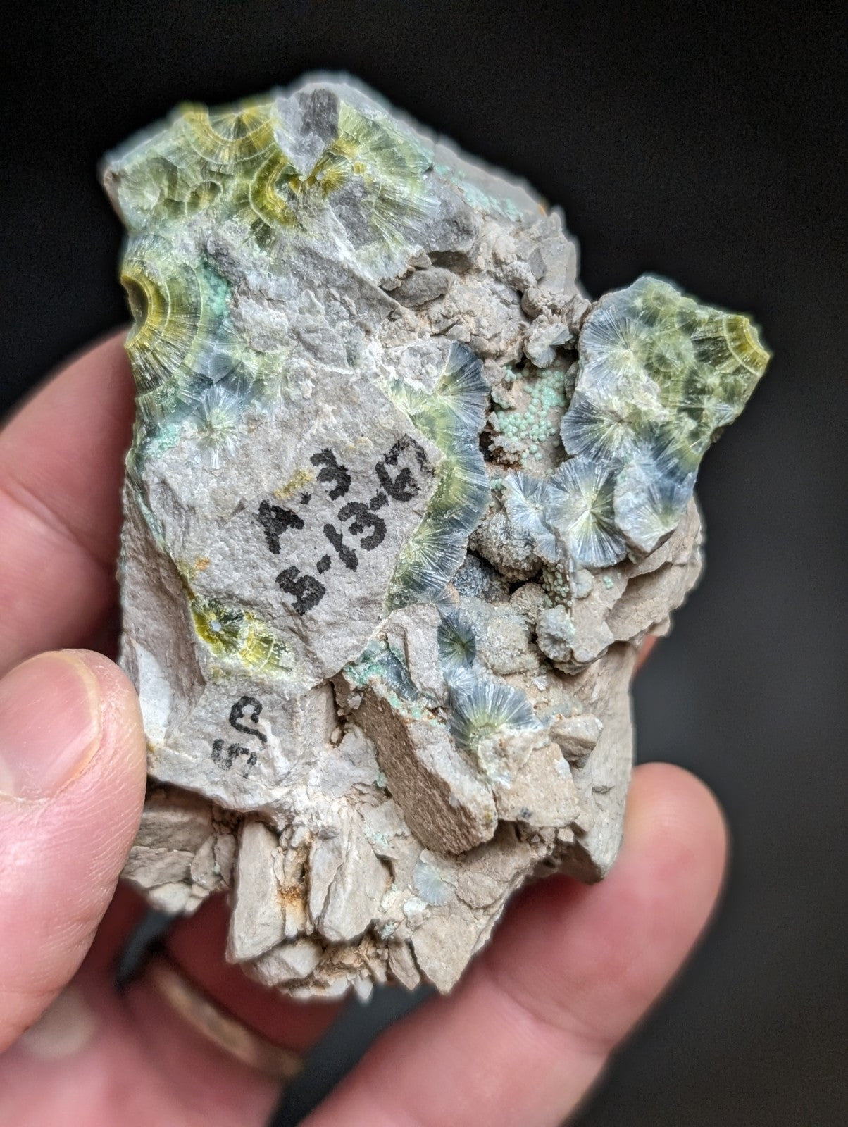 Blue Wavellite on Variscite! -Very Rare Old Stock - Garland County Arkansas - Collectibles:Rocks Fossils &