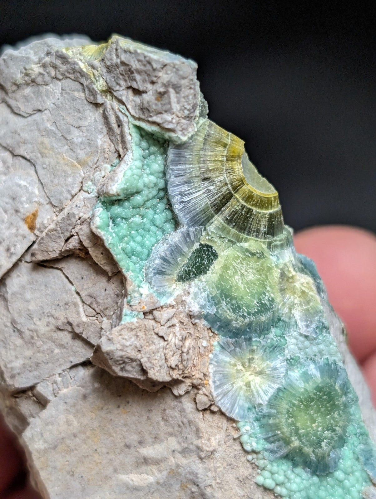 Blue Wavellite on Variscite! -Very Rare Old Stock - Garland County Arkansas - Collectibles:Rocks Fossils &