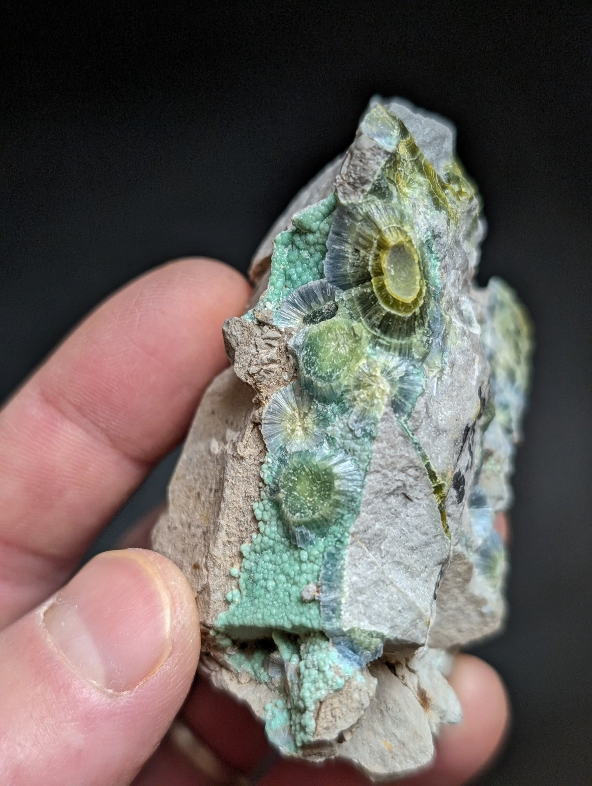 Blue Wavellite on Variscite! -Very Rare Old Stock - Garland County Arkansas - Collectibles:Rocks Fossils &