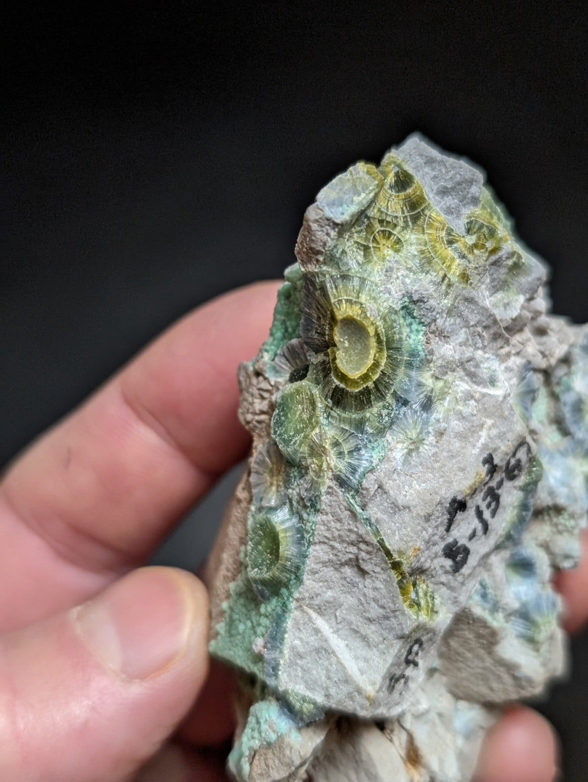 Blue Wavellite on Variscite! -Very Rare Old Stock - Garland County Arkansas - Collectibles:Rocks Fossils &