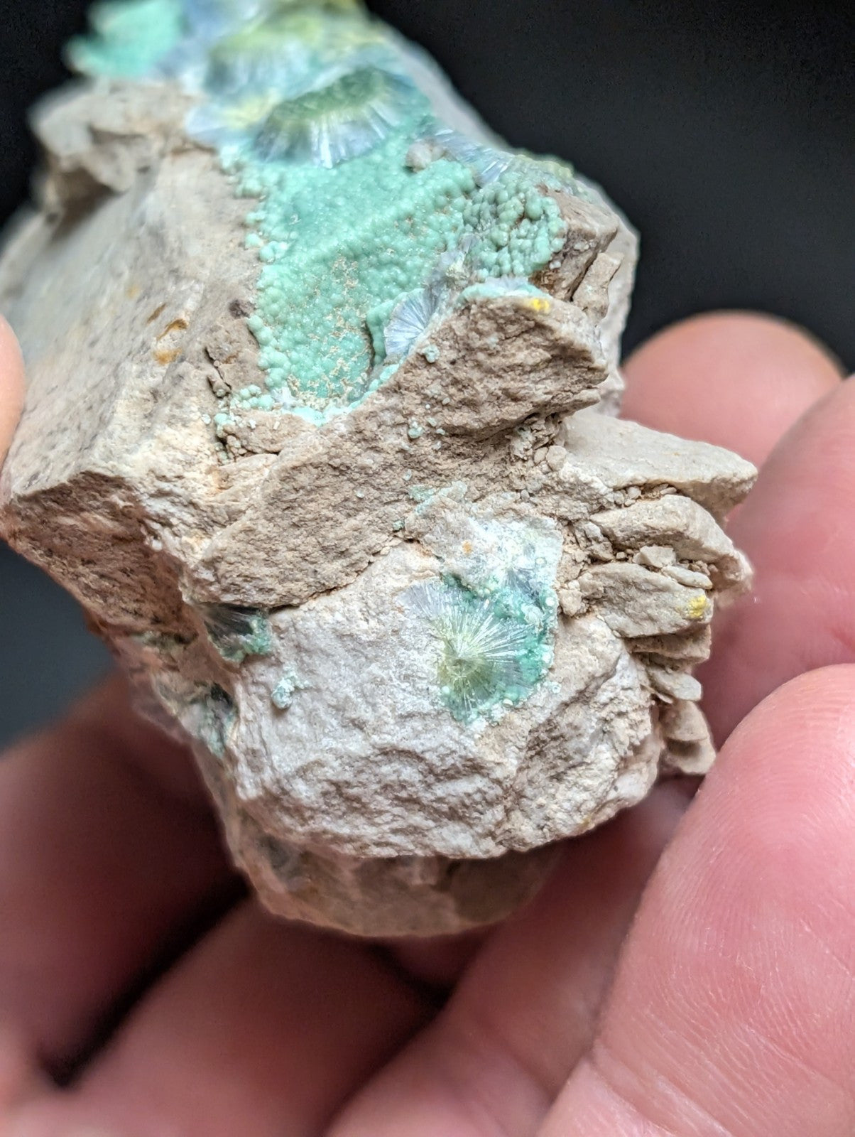 Blue Wavellite on Variscite! -Very Rare Old Stock - Garland County Arkansas - Collectibles:Rocks Fossils &
