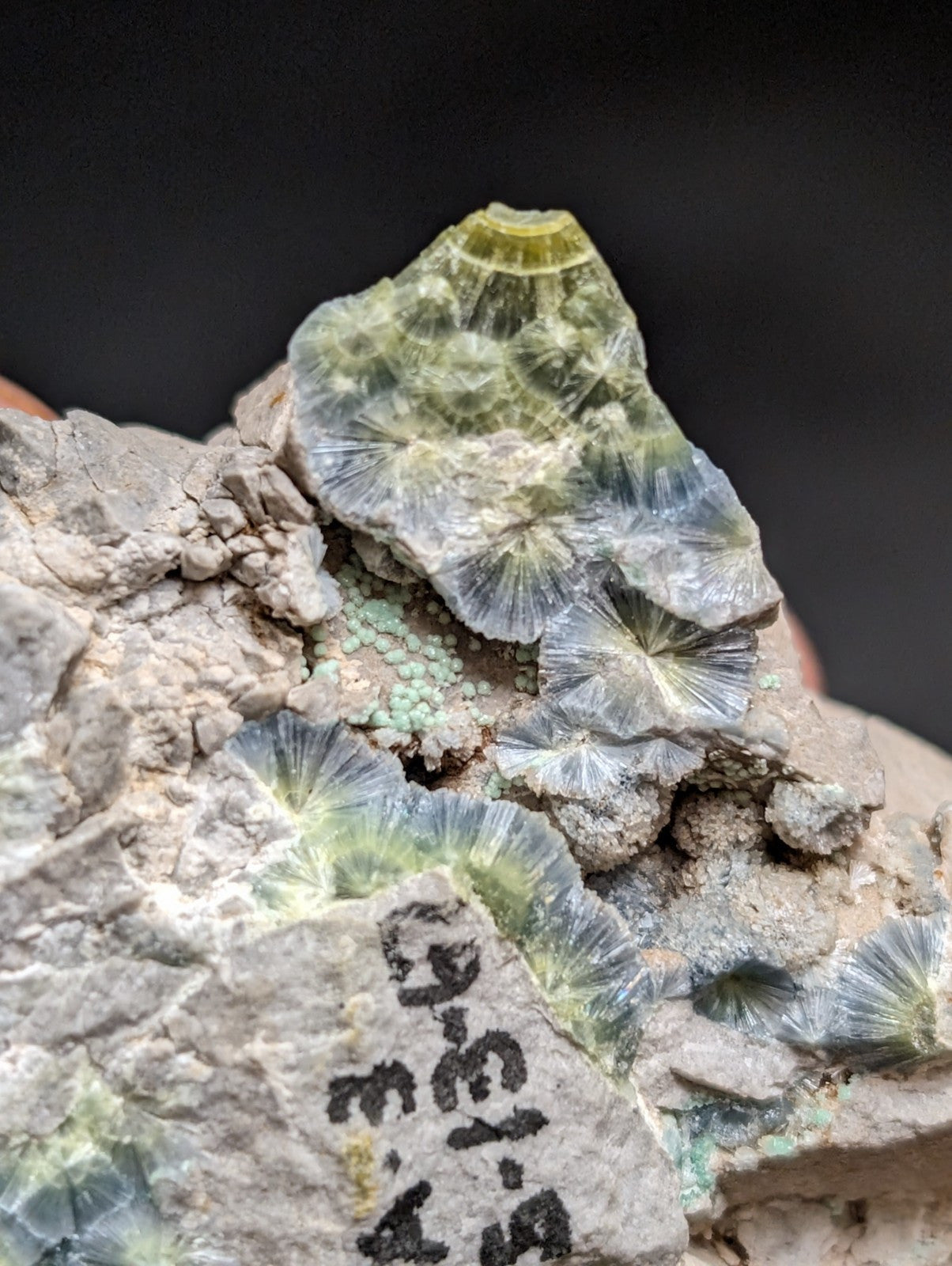Blue Wavellite on Variscite! -Very Rare Old Stock - Garland County Arkansas - Collectibles:Rocks Fossils &
