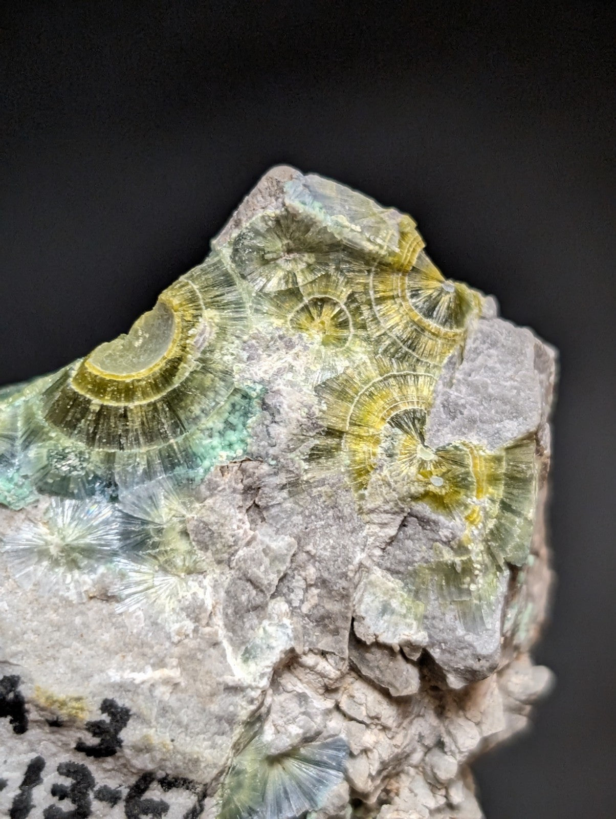 Blue Wavellite on Variscite! -Very Rare Old Stock - Garland County Arkansas - Collectibles:Rocks Fossils &