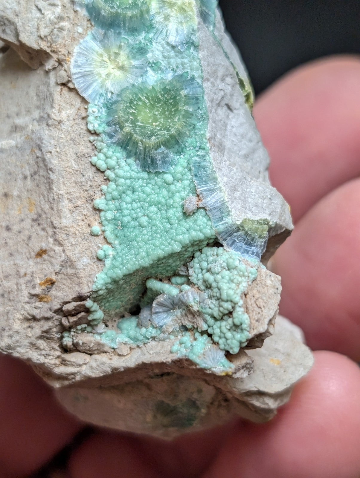 Blue Wavellite on Variscite! -Very Rare Old Stock - Garland County Arkansas - Collectibles:Rocks Fossils &
