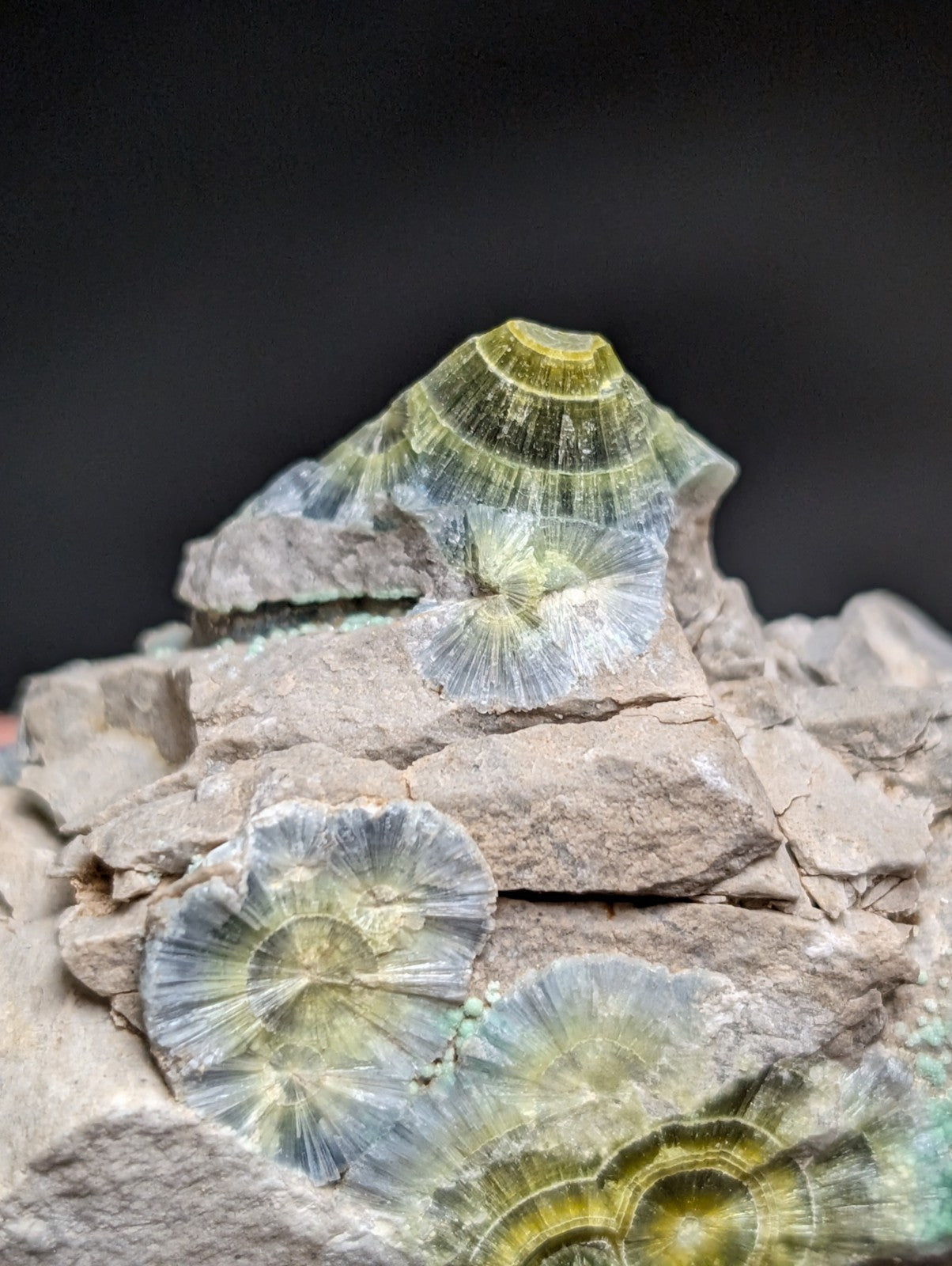 Blue Wavellite on Variscite! -Very Rare Old Stock - Garland County Arkansas - Collectibles:Rocks Fossils &