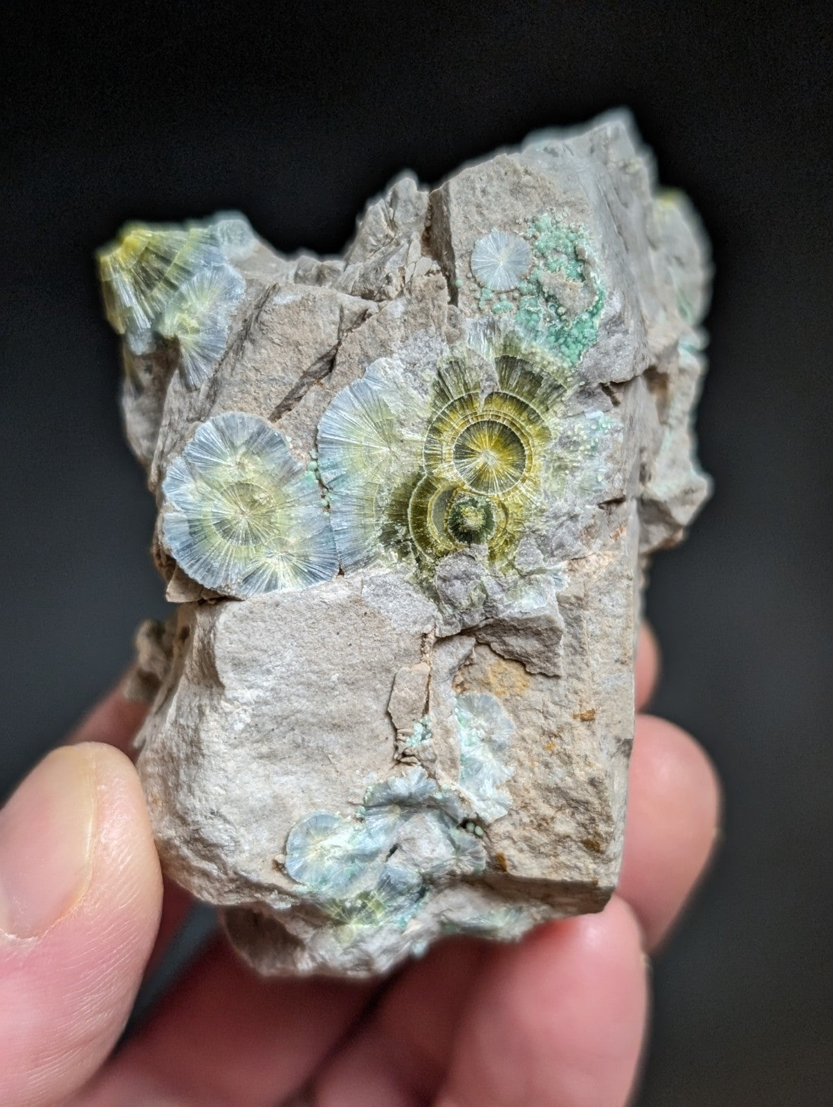 Blue Wavellite on Variscite! -Very Rare Old Stock - Garland County Arkansas - Collectibles:Rocks Fossils &
