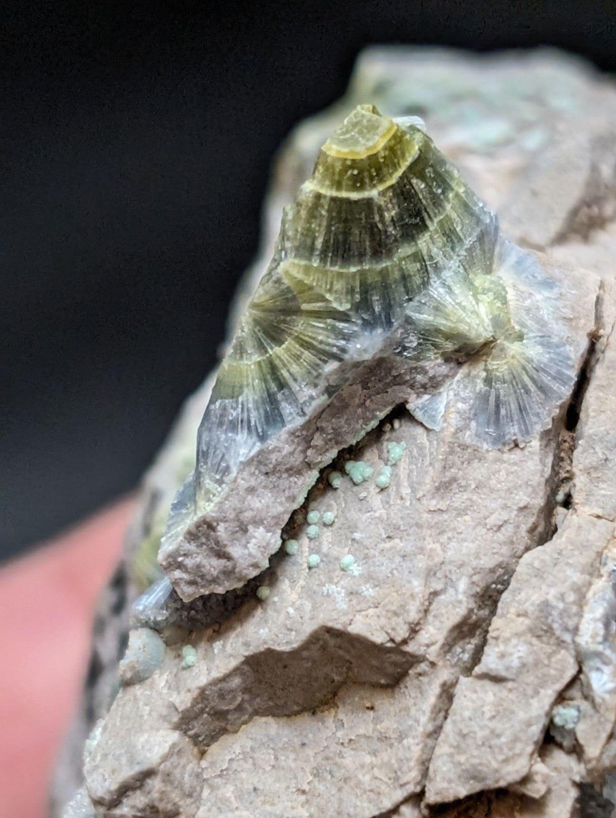 Blue Wavellite on Variscite! -Very Rare Old Stock - Garland County Arkansas - Collectibles:Rocks Fossils &