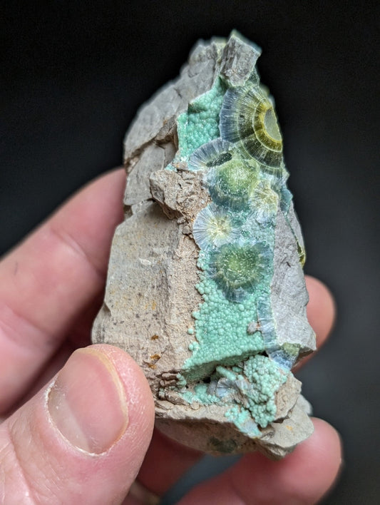 Blue Wavellite on Variscite! -Very Rare Old Stock - Garland County Arkansas - Collectibles:Rocks Fossils &