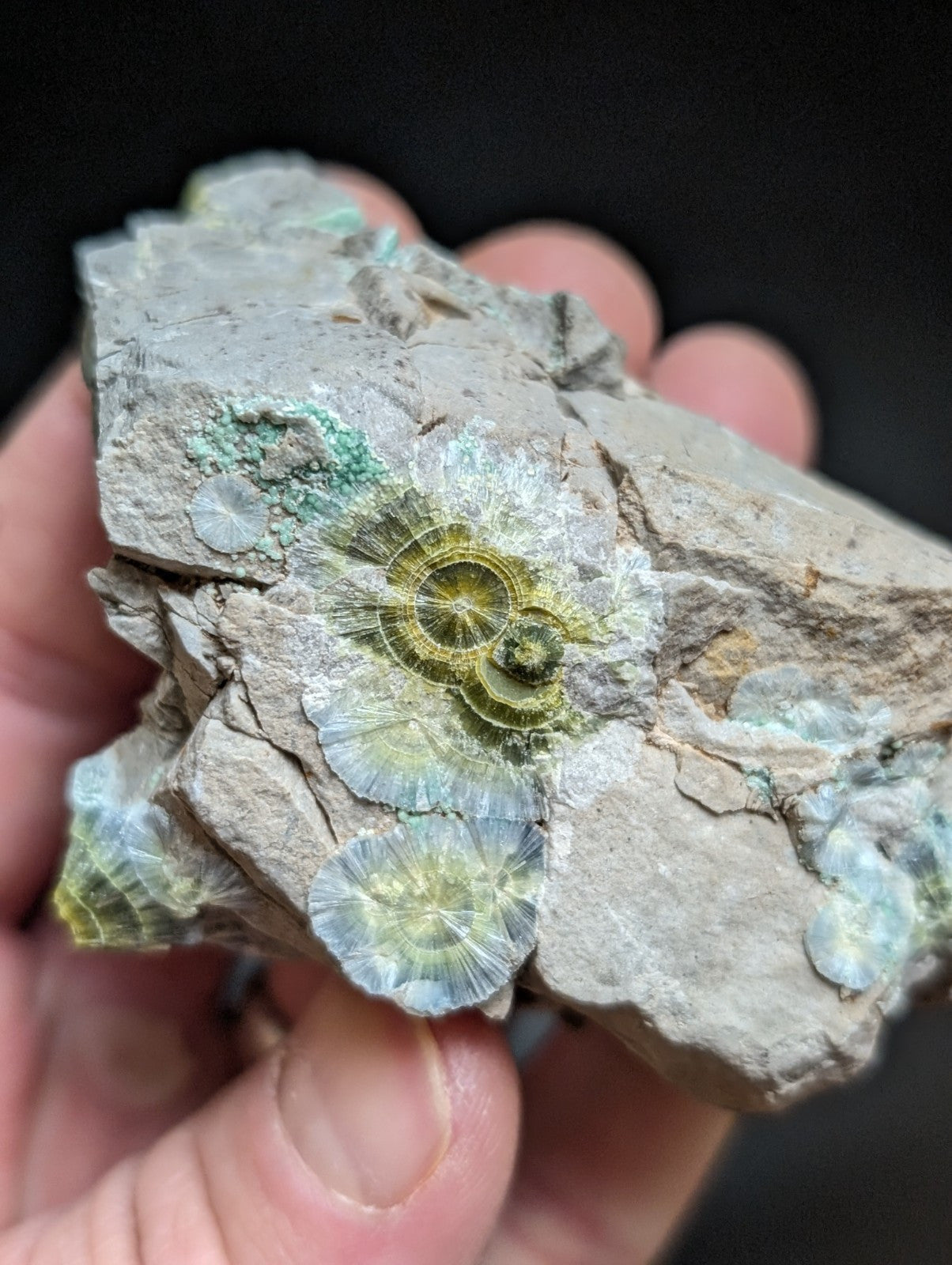 Blue Wavellite on Variscite! -Very Rare Old Stock - Garland County Arkansas - Collectibles:Rocks Fossils &