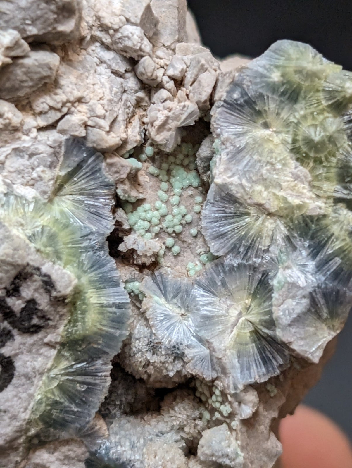 Blue Wavellite on Variscite! -Very Rare Old Stock - Garland County Arkansas - Collectibles:Rocks Fossils &