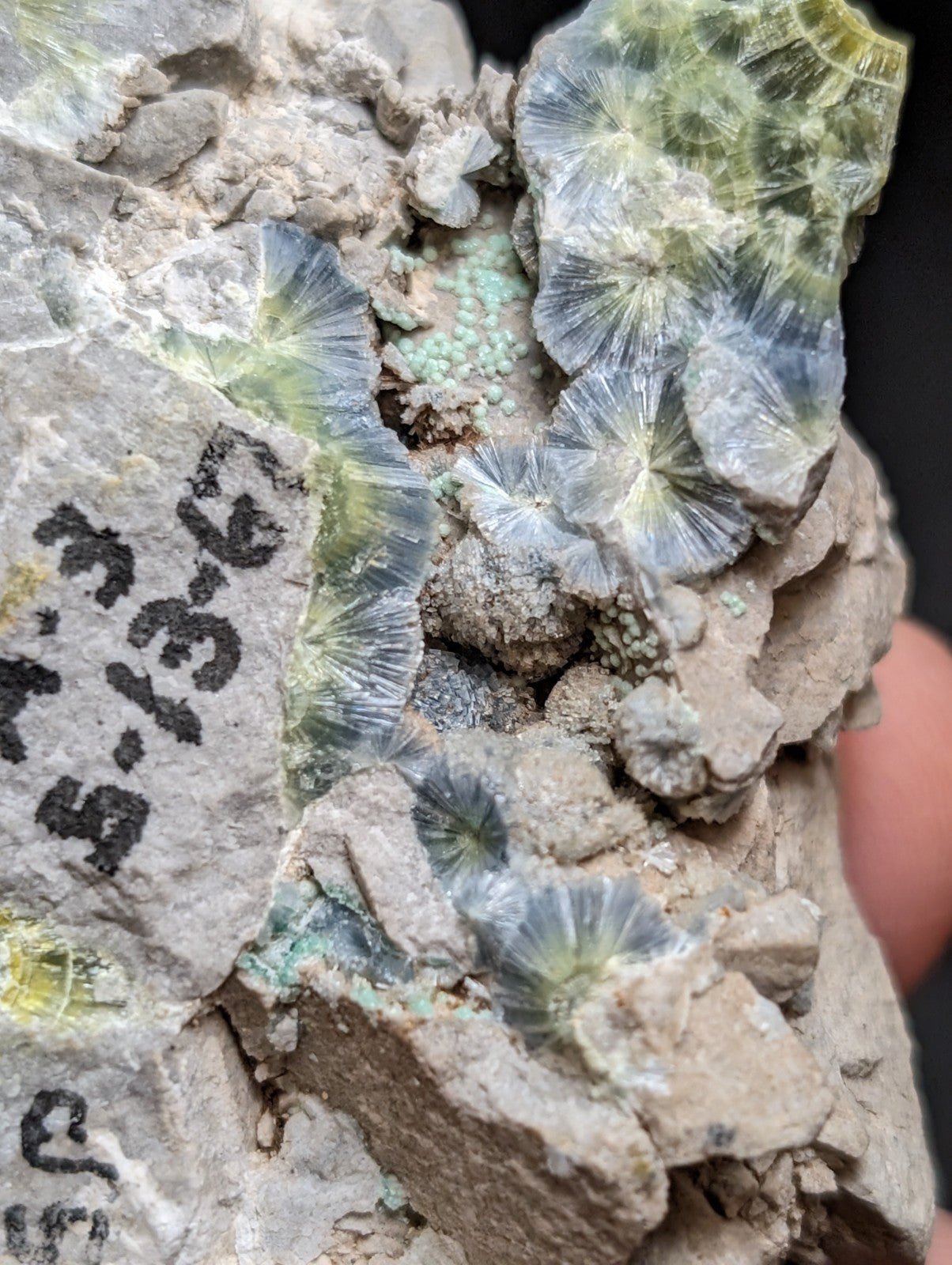 Blue Wavellite on Variscite! -Very Rare Old Stock - Garland County Arkansas - Collectibles:Rocks Fossils &