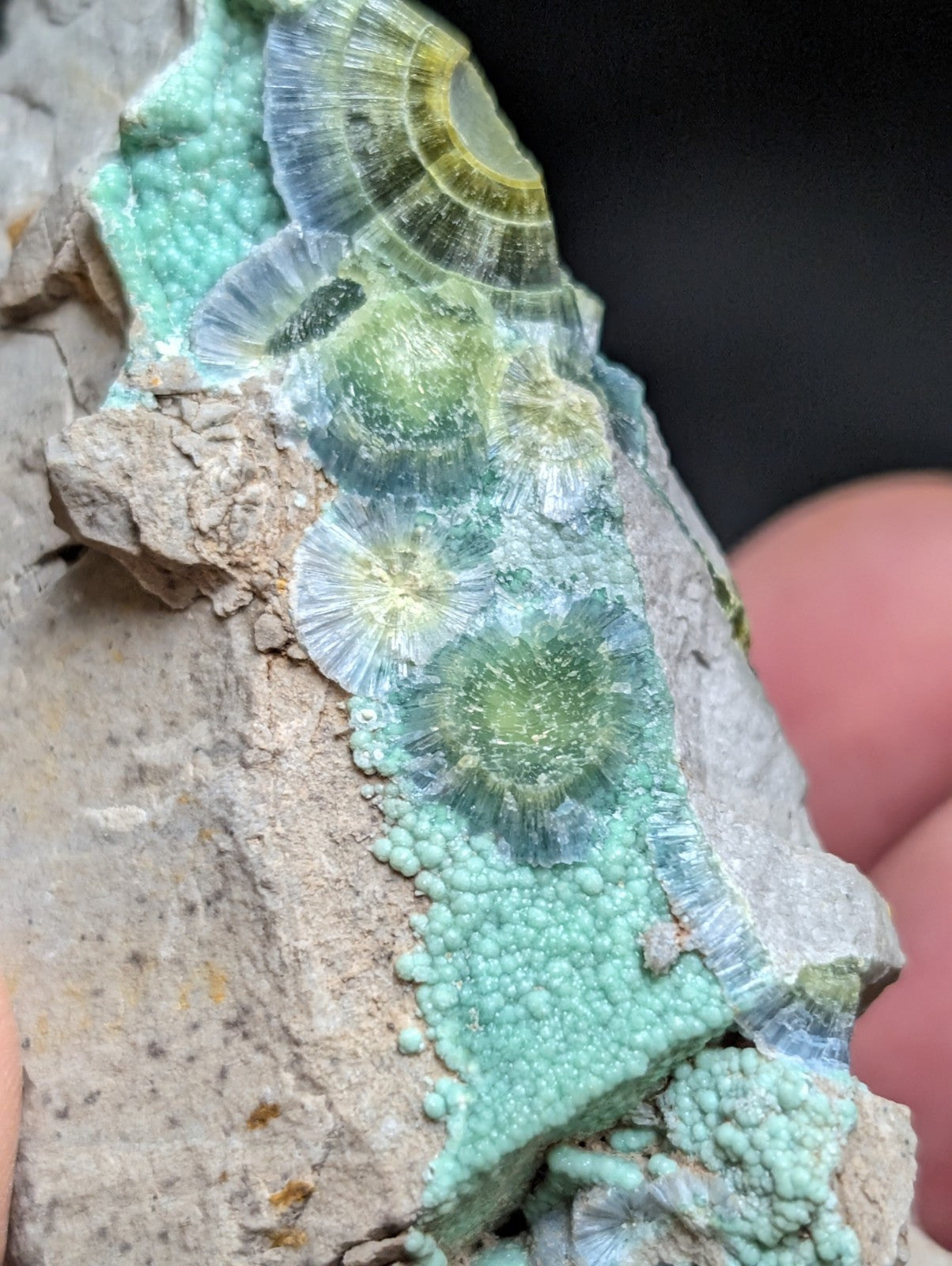 Blue Wavellite on Variscite! -Very Rare Old Stock - Garland County Arkansas - Collectibles:Rocks Fossils &