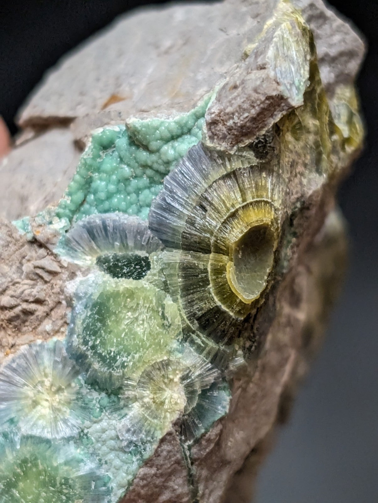 Blue Wavellite on Variscite! -Very Rare Old Stock - Garland County Arkansas - Collectibles:Rocks Fossils &