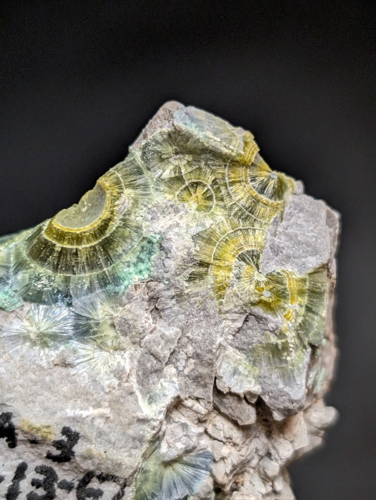 Blue Wavellite on Variscite! -Very Rare Old Stock - Garland County Arkansas - Collectibles:Rocks Fossils &