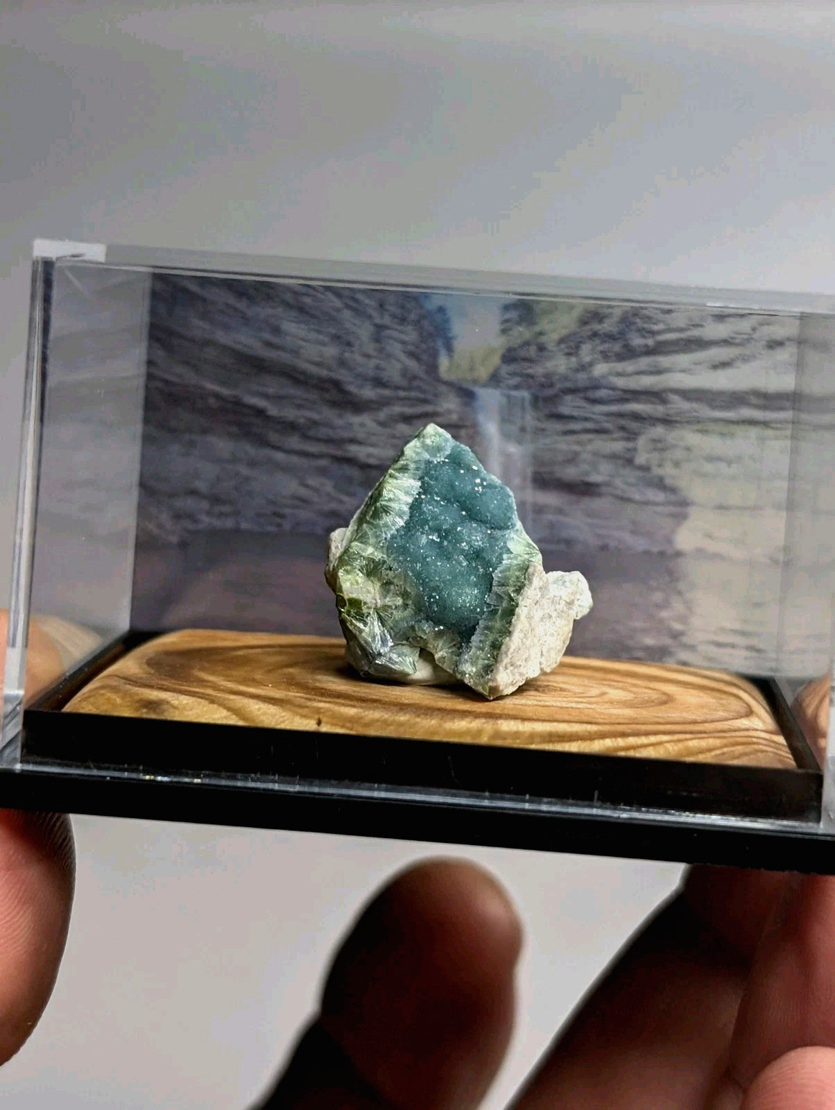 A vibrant green mineral specimen with a crystalline, textured surface and earthy white matrix is displayed in a clear acrylic display case.