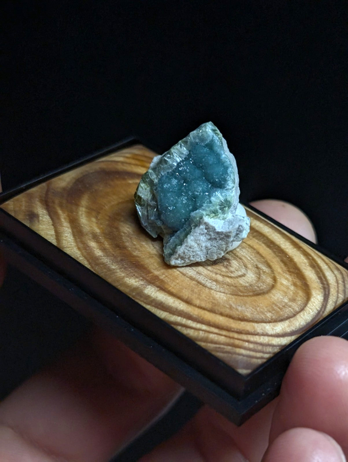 A striking teal-blue mineral specimen with a crystalline, rough-textured surface rests on a polished wooden display base.