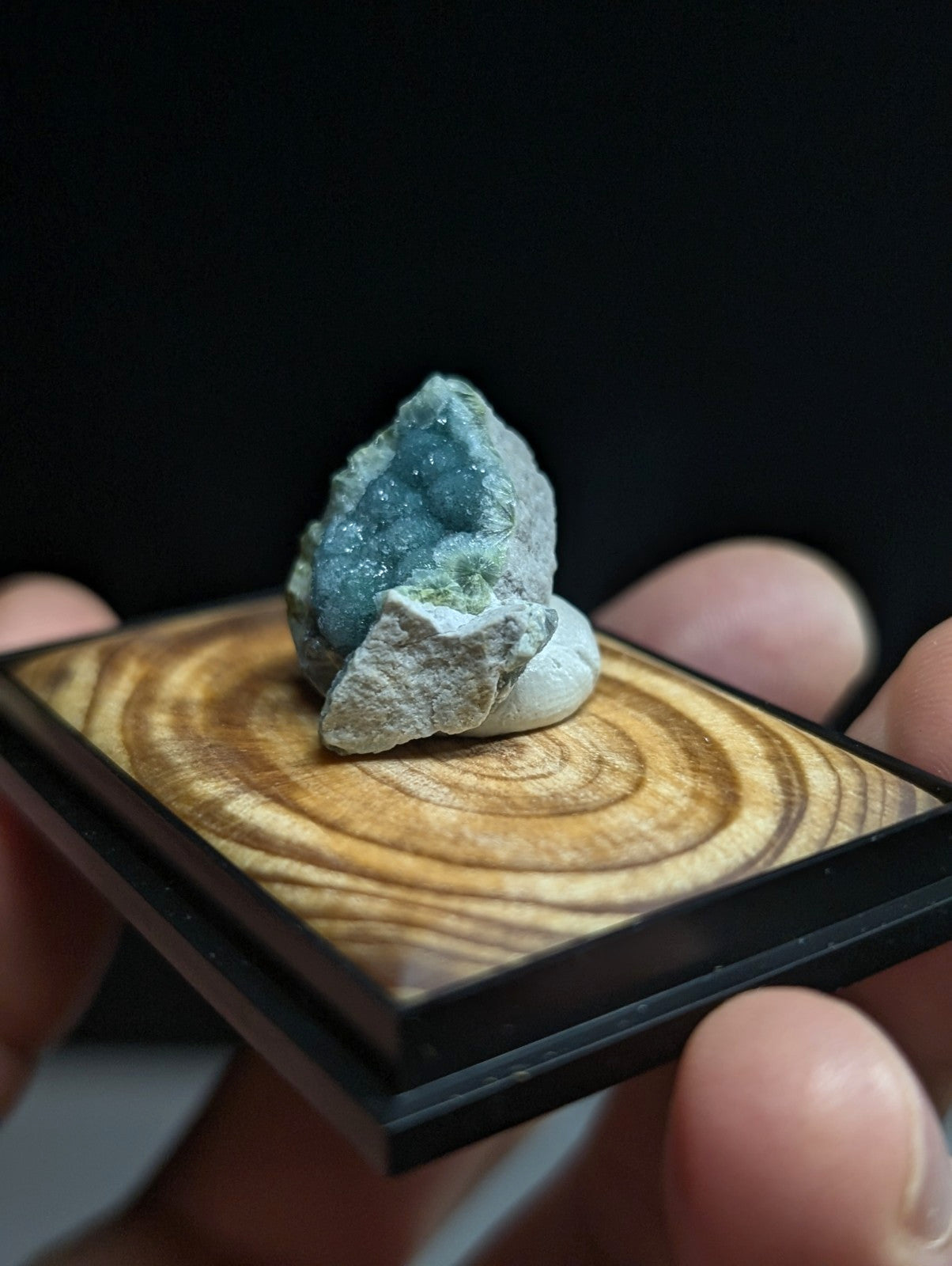 A striking blue-green mineral specimen with a crystalline, druzy texture and earthy gray matrix rests elegantly on a polished wooden display base.
