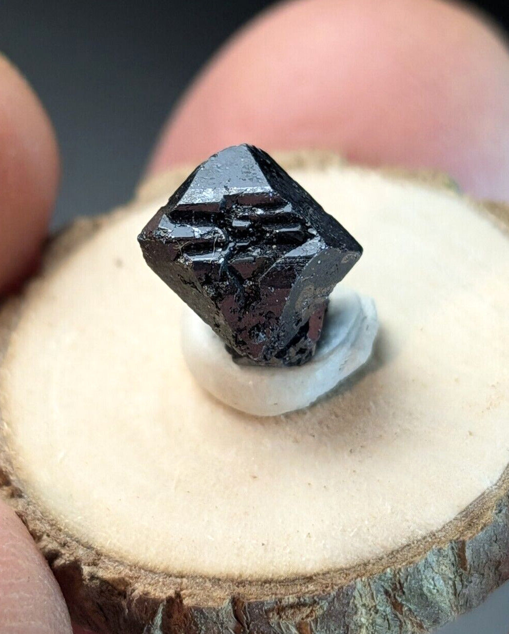 Brookite Crystal Cluster Magnet Cove Arkansas USA Old Stock w/ wood display - Collectibles:Rocks Fossils &