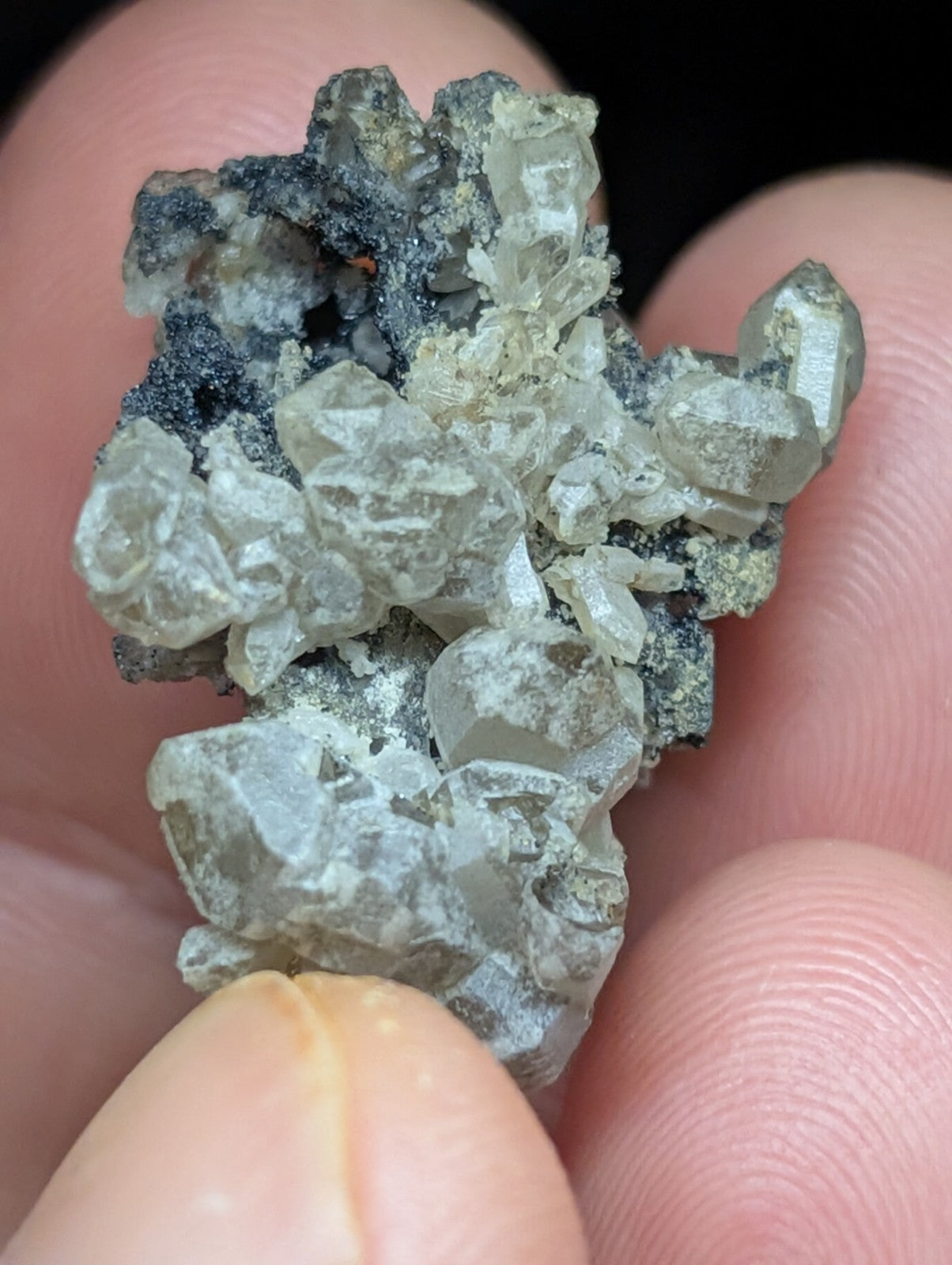 A cluster of translucent, pale gray quartz crystals growing from a dark mineral matrix.