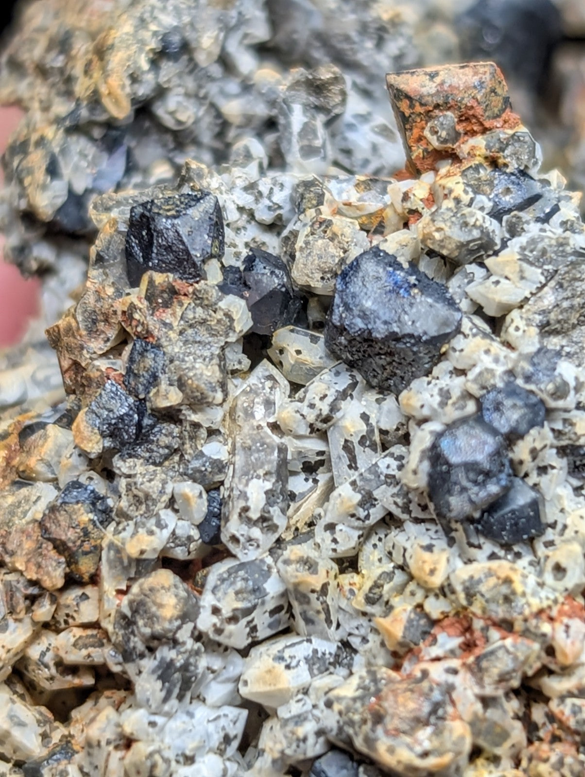 A cluster of dark, angular mineral crystals nestled among lighter speckled rock fragments.