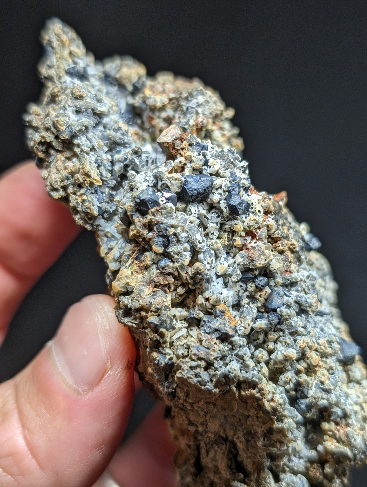 A rugged, textured mineral specimen with a mottled gray and black surface dotted with small dark crystals.