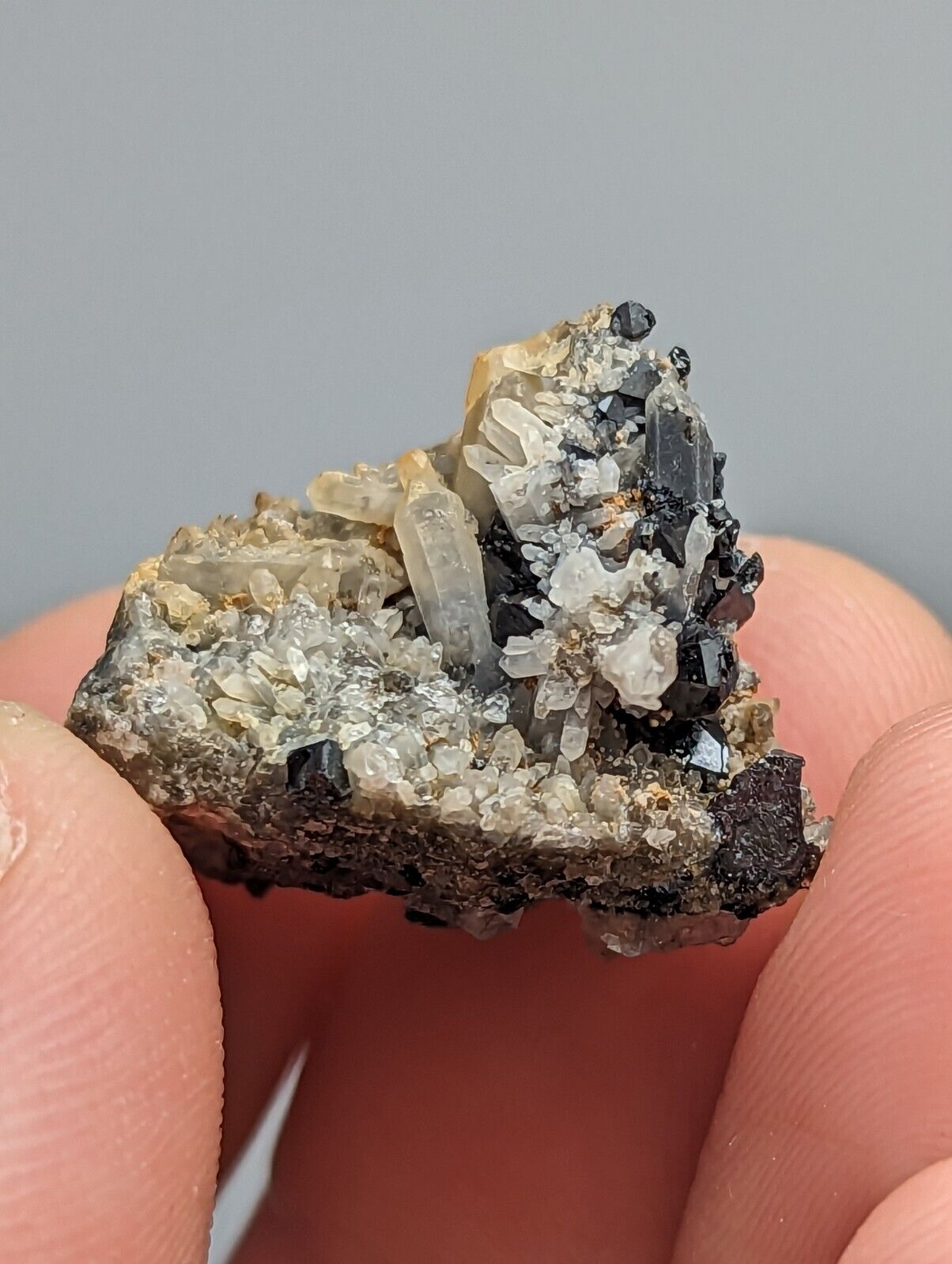 Brookite on Quartz Magnet Cove Hot Spring Co Arkansas Super Rare Old Stock - Collectibles:Rocks Fossils &