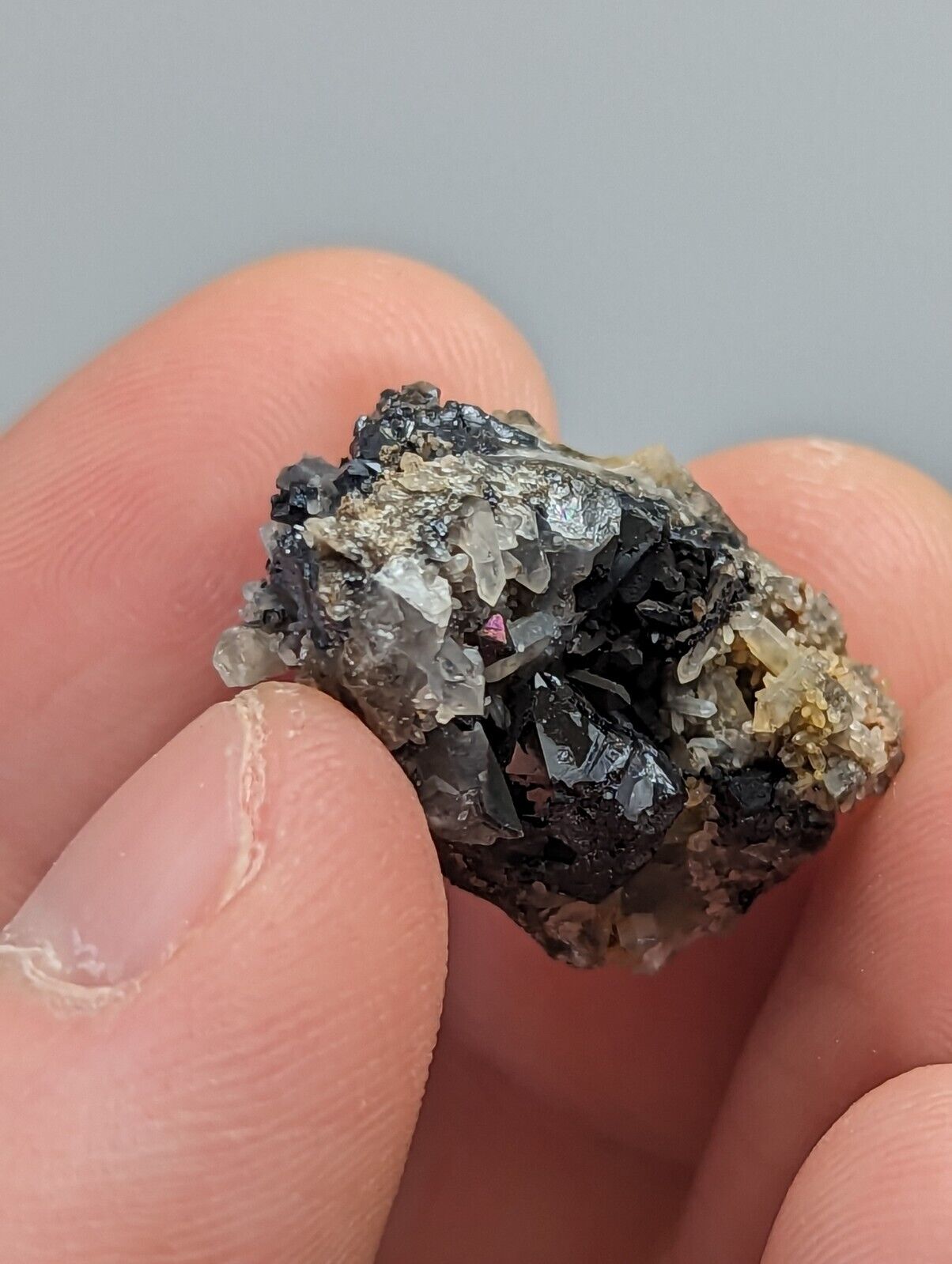 Brookite on Quartz Magnet Cove Hot Spring Co Arkansas Super Rare Old Stock - Collectibles:Rocks Fossils &