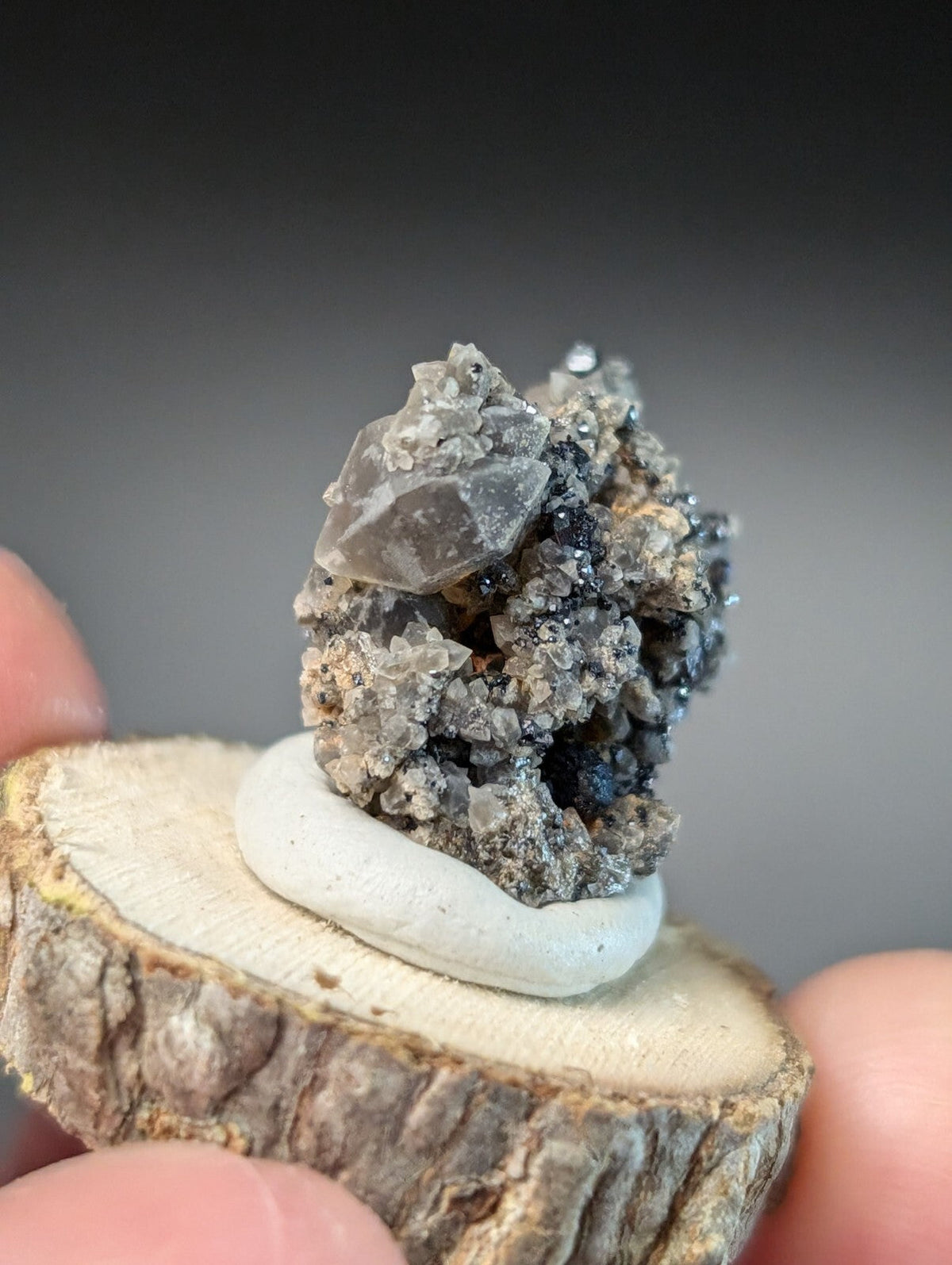 A gray and black mineral specimen with translucent crystals, displayed on a white ceramic base atop a rustic wooden slice.