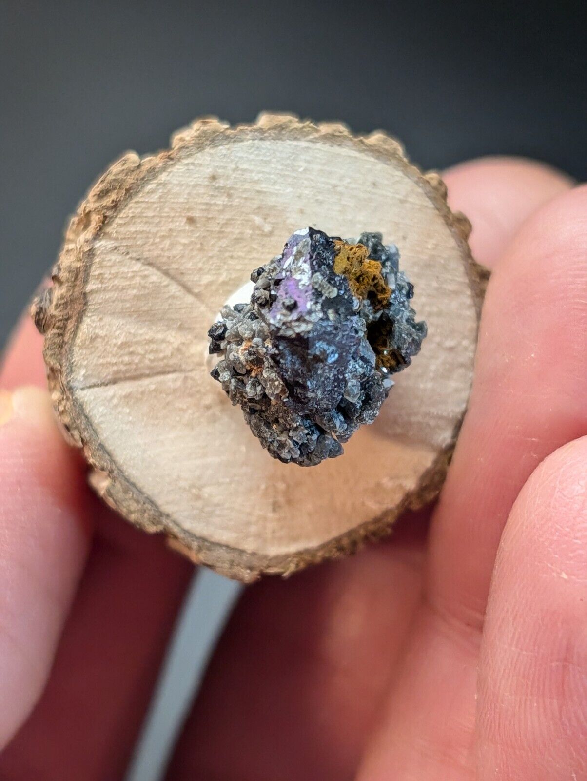 Brookite on Smoky Quartz Magnet Cove Arkansas USA Old Stock w/ wood display - Collectibles:Rocks Fossils &