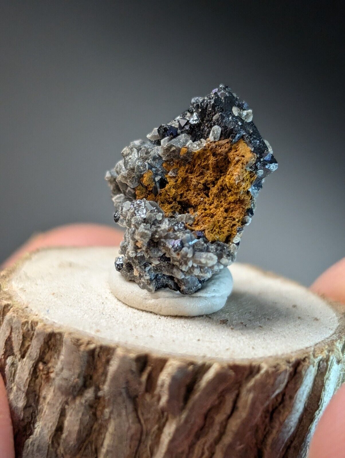 Brookite on Smoky Quartz Magnet Cove Arkansas USA Old Stock w/ wood display - Collectibles:Rocks Fossils &