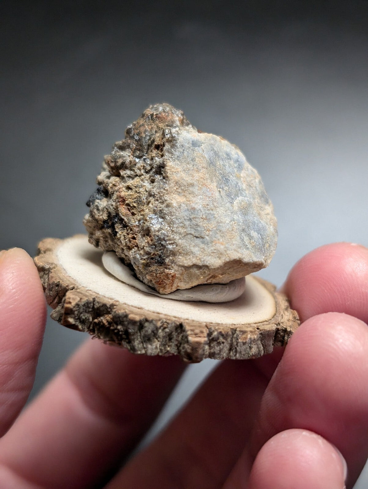 A rough, grayish-brown rock with a textured surface rests atop a circular wooden slice.