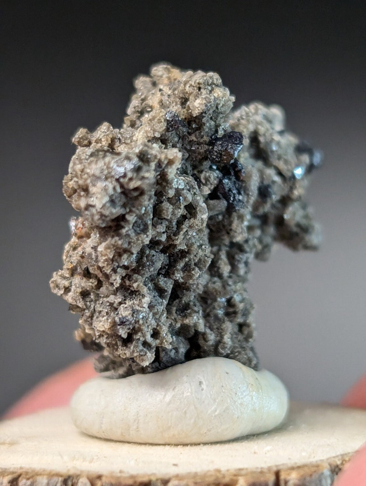 A textured, grayish-brown mineral specimen with dark inclusions and crystalline formations rests on a smooth white base.