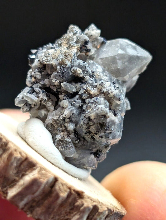 Brookite on Smoky Quartz Magnet Cove Arkansas USA Old Stock w/ wood display - Collectibles:Rocks Fossils &