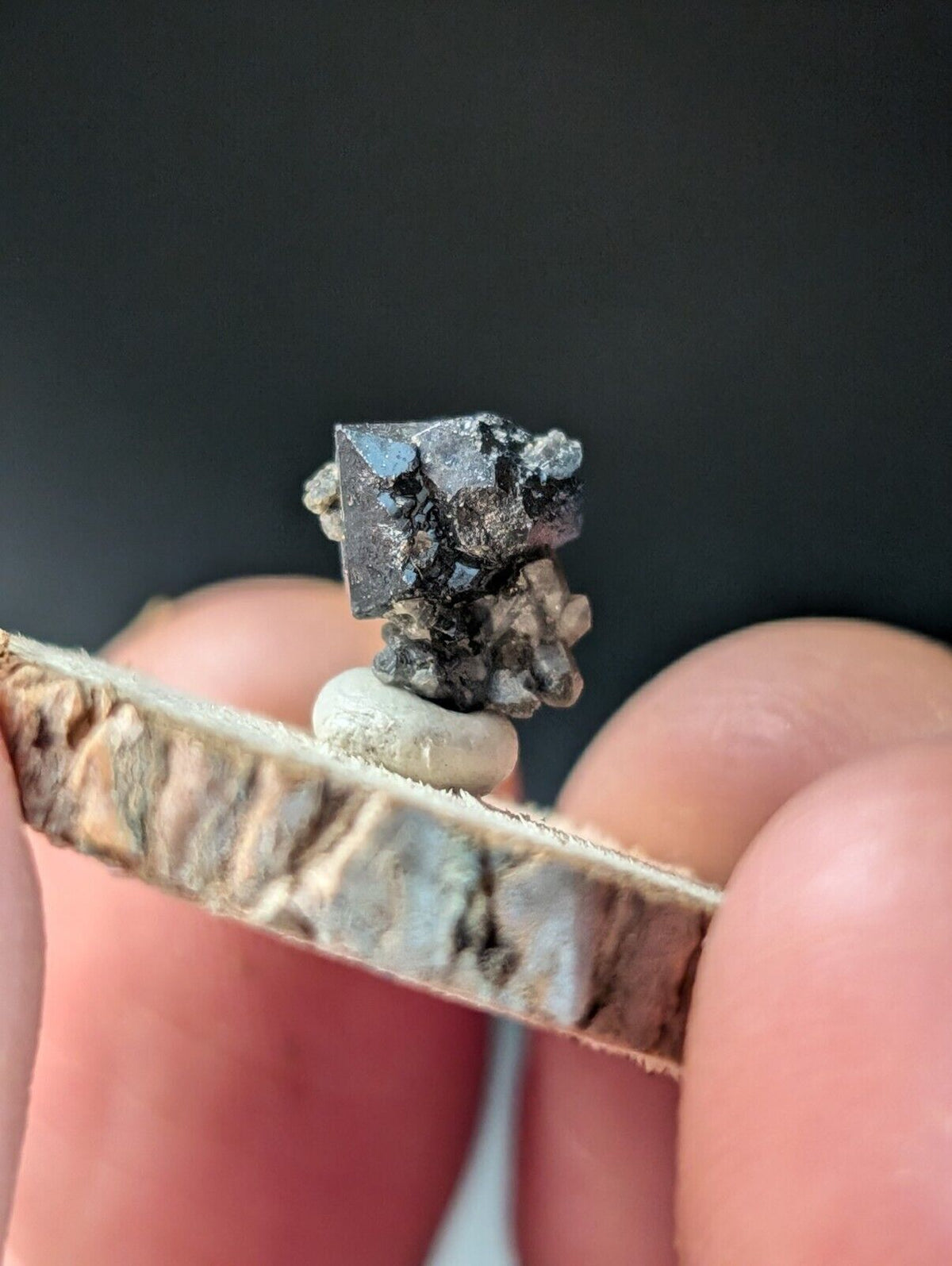 Brookite on Smoky Quartz Magnet Cove Arkansas USA Old Stock w/ wood display - Collectibles:Rocks Fossils &