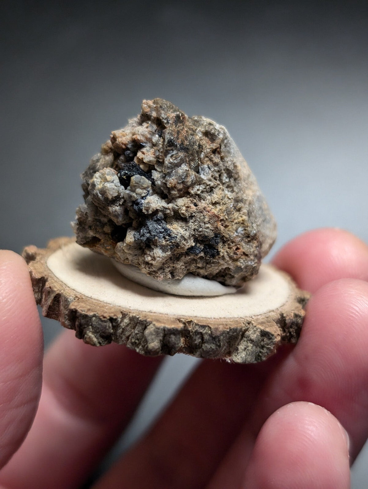 A rugged, earthy-toned mineral specimen with speckles of dark gray and black rests atop a circular wooden slice.