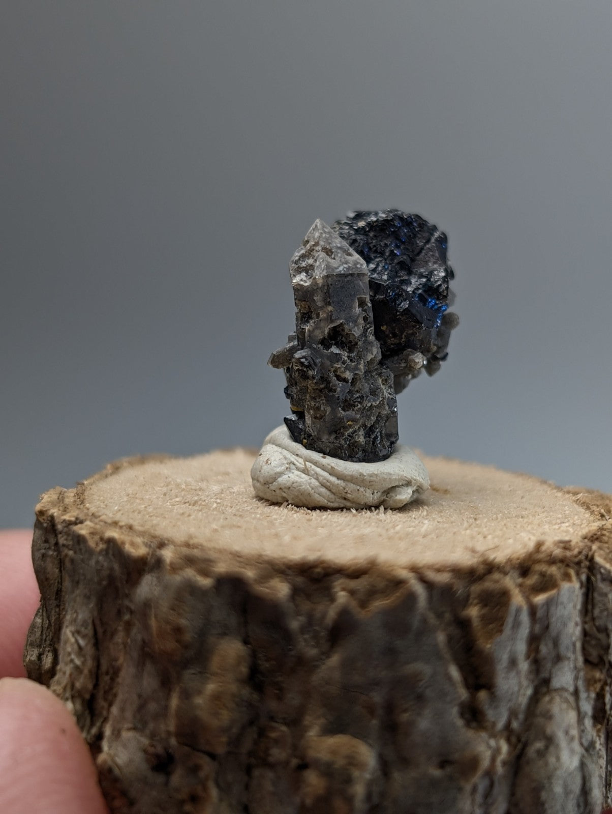 Brookite on smoky quartz mineral with dark crystalline texture and blue highlights on white base with wood display