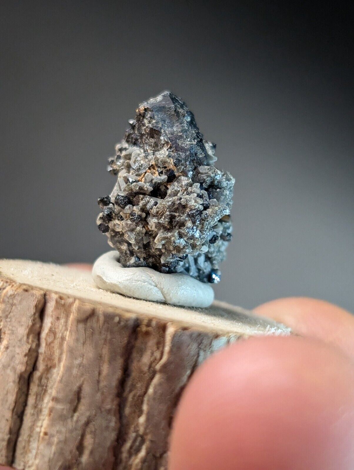 Brookite on Smoky Quartz Magnet Cove Arkansas USA Old Stock w/ wood display - Collectibles:Rocks Fossils &