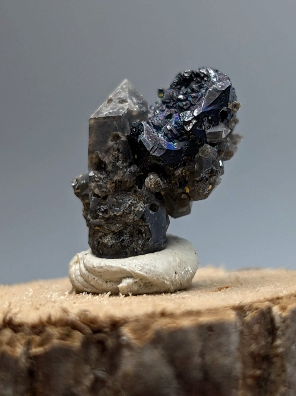 Brookite on smoky quartz mineral with dark iridescent blue black crystals on gray base with wood display from Arkansas USA