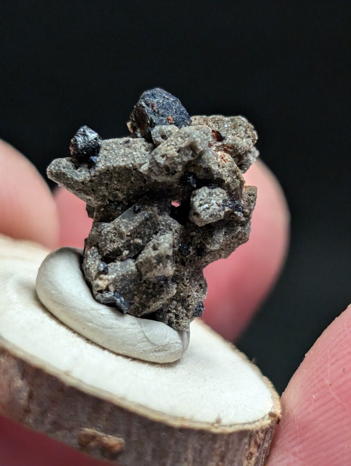 Brookite on Smoky Quartz Magnet Cove Arkansas USA Old Stock w/ wood display - Collectibles:Rocks Fossils &