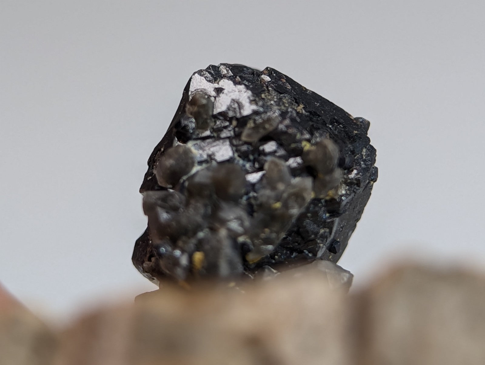 Brookite on smoky quartz mineral specimen with dark jagged surface and translucent crystals from magnet cove arkansas on wood display