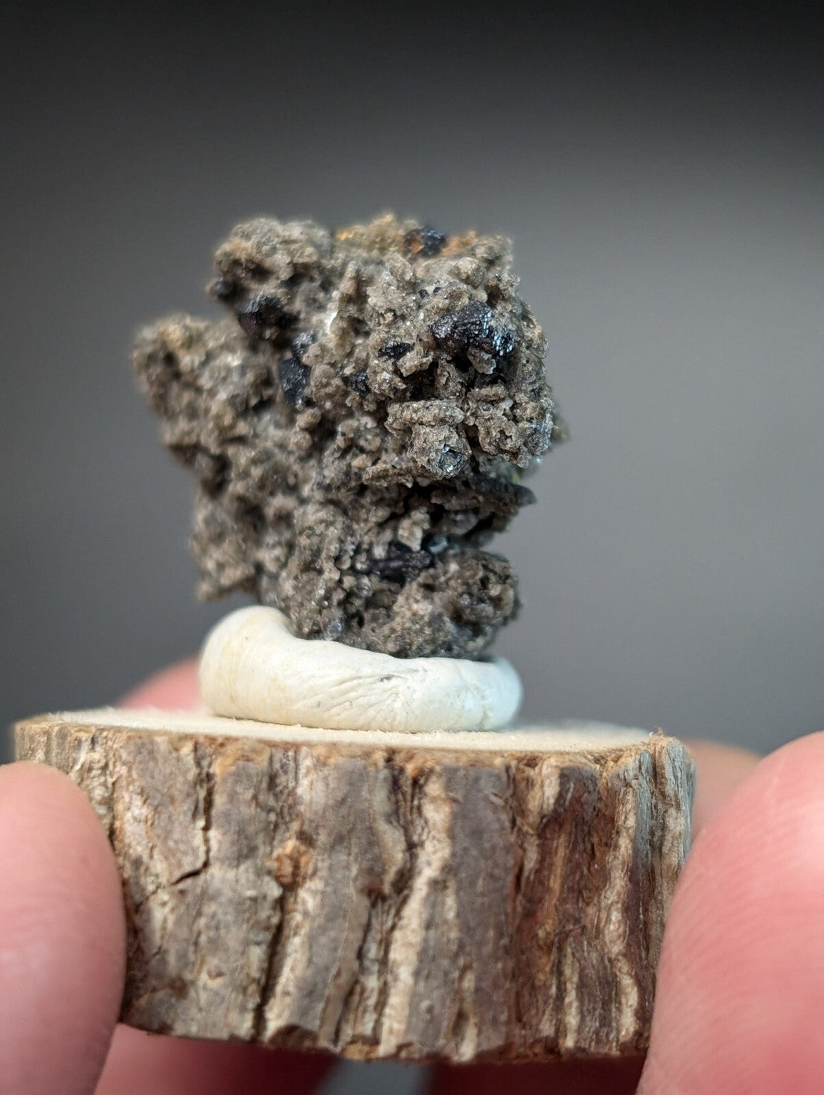 A textured, grayish-black mineral specimen with dark inclusions sits atop a white ceramic base, which is mounted on a rustic wooden slice.