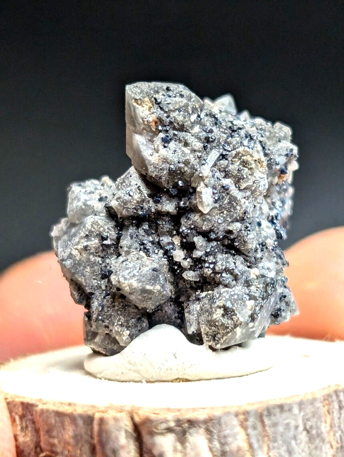 Brookite on Smoky Quartz Magnet Cove Arkansas USA Old Stock w/ wood display - Collectibles:Rocks Fossils &